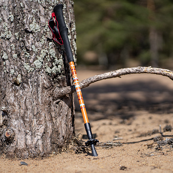RANGER POLE палки треккинговые