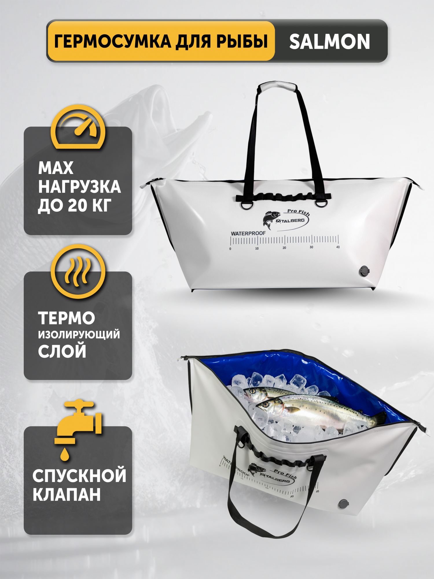обложка salmon